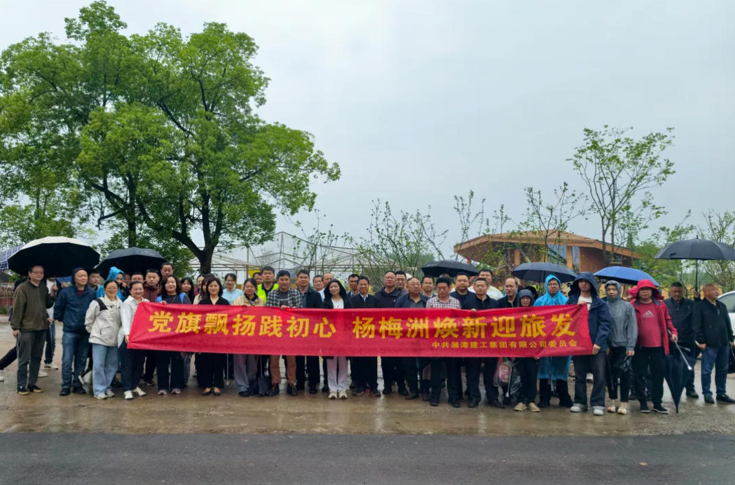 【国企先锋】党旗飘扬践初心 杨梅洲焕新迎旅发